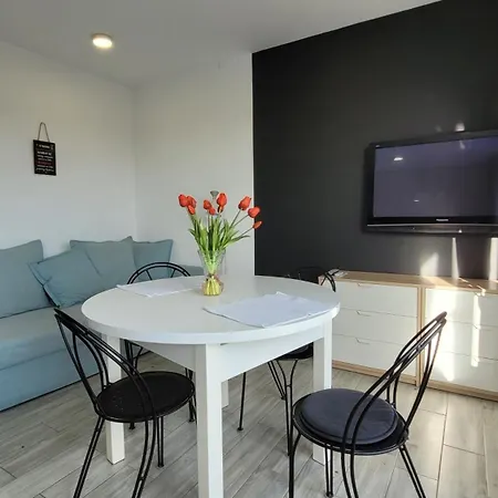 Apartament Centrum W Parku Przy Katedrze Nr 10 Kwidzyn Exterior foto