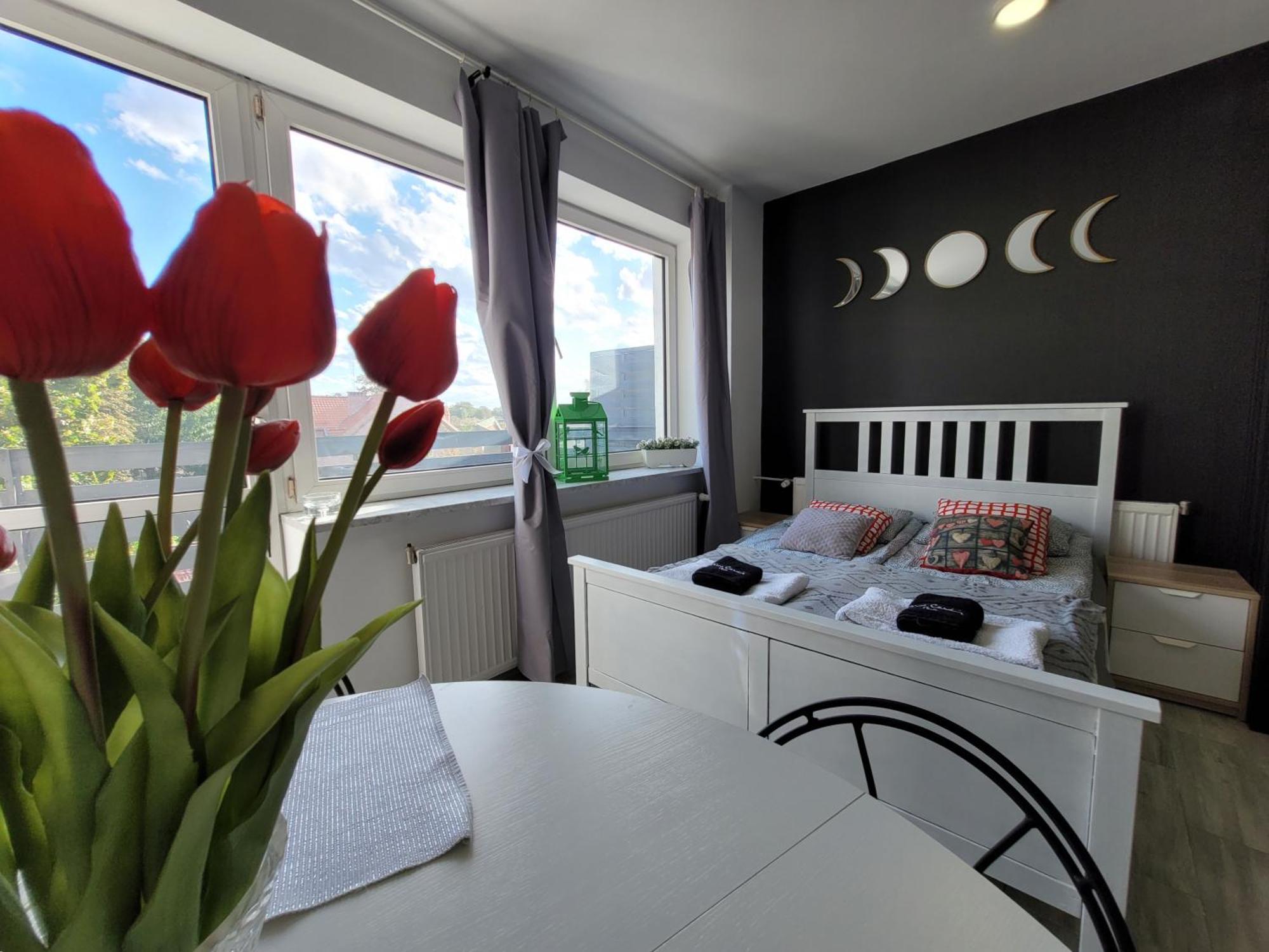 Centrum W Parku Przy Katedrze Nr 10 Apartment Kwidzyn
